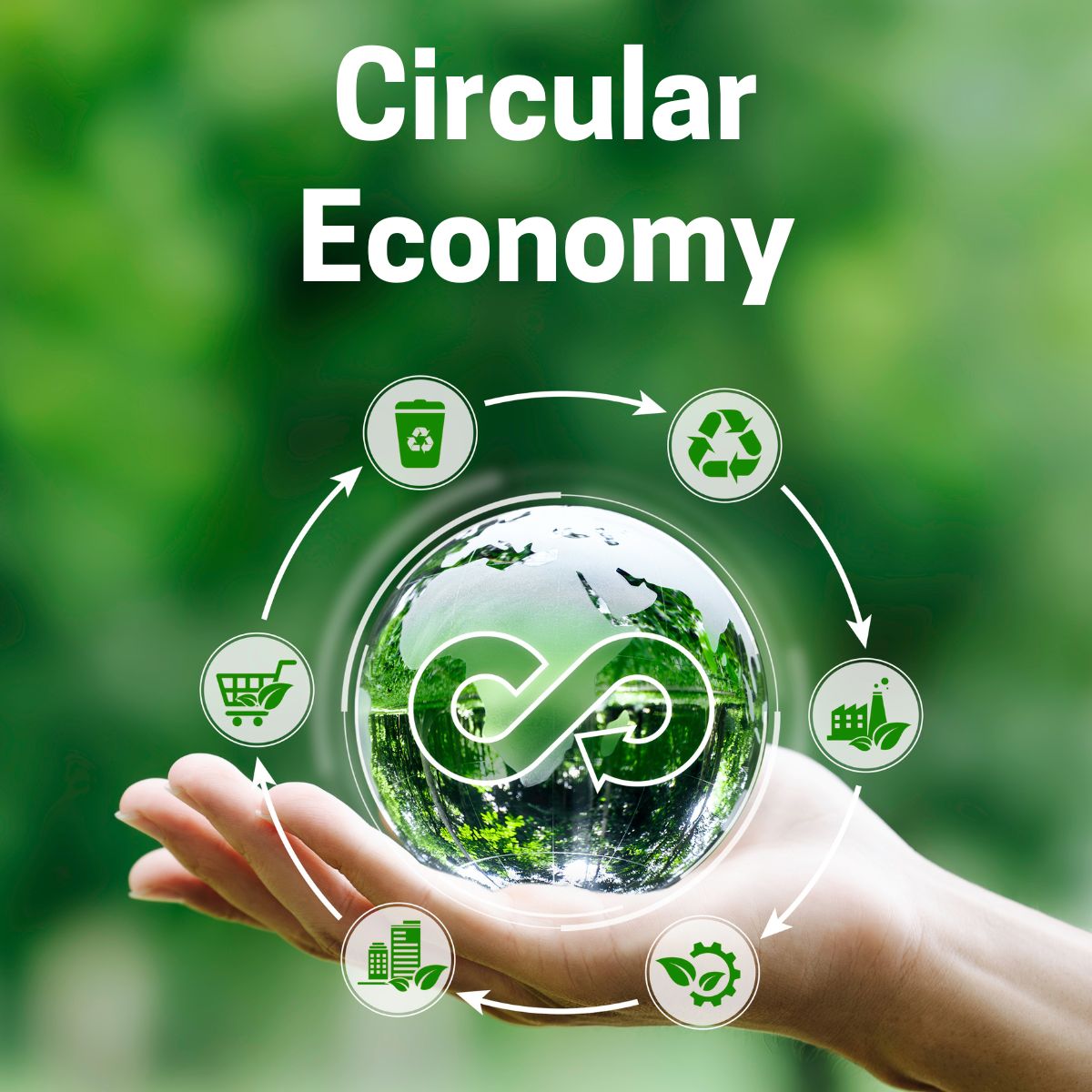 circular economy