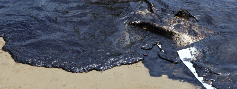 Oil spill
